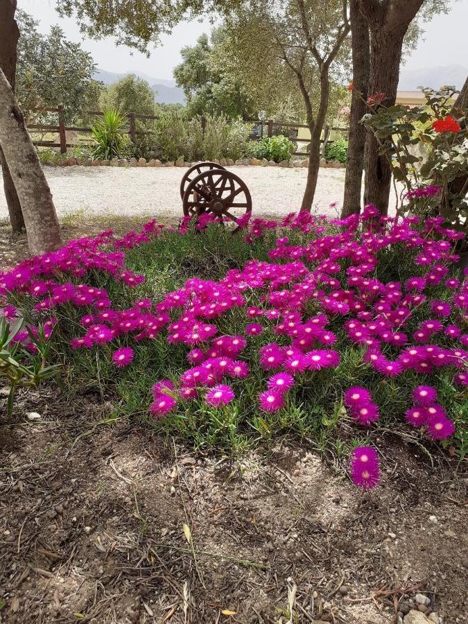 Agriturismo Pira Pinta Bed and Breakfast Dorgali Εξωτερικό φωτογραφία