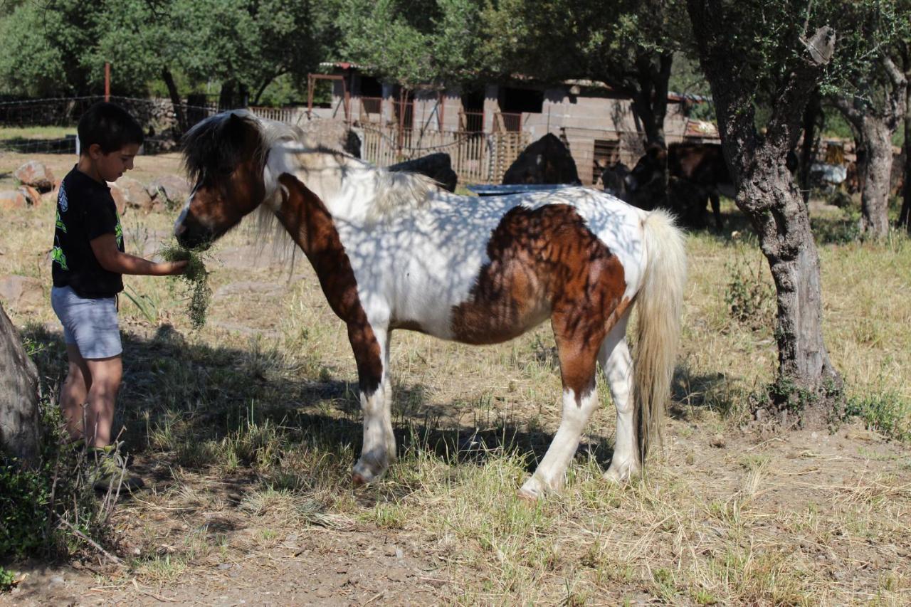 Agriturismo Pira Pinta Bed and Breakfast Dorgali Εξωτερικό φωτογραφία