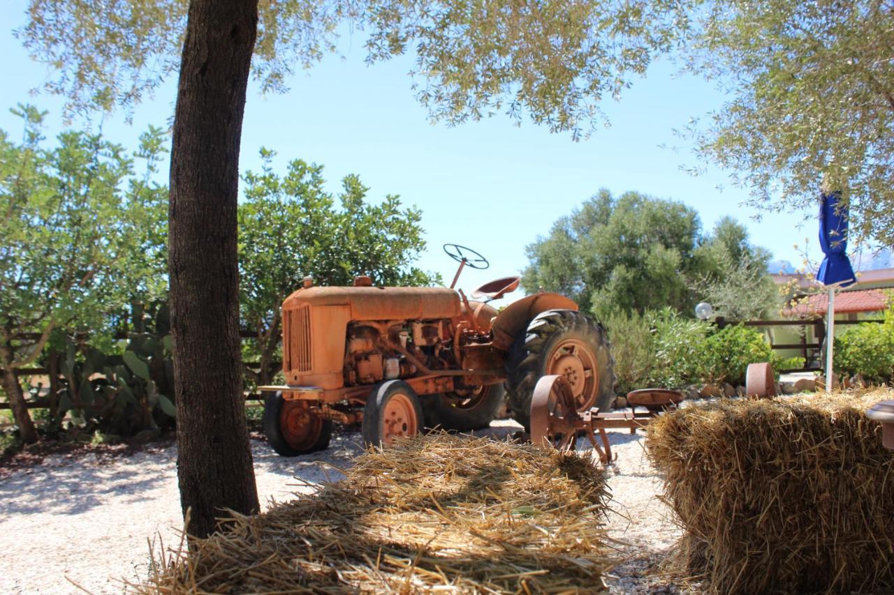 Agriturismo Pira Pinta Bed and Breakfast Dorgali Εξωτερικό φωτογραφία