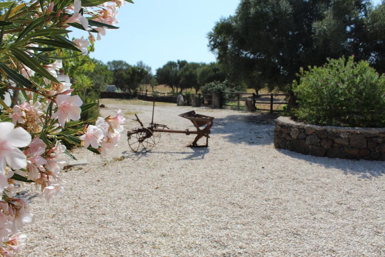 Agriturismo Pira Pinta Bed and Breakfast Dorgali Εξωτερικό φωτογραφία