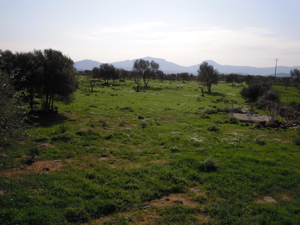 Agriturismo Pira Pinta Dorgali Δωμάτιο φωτογραφία