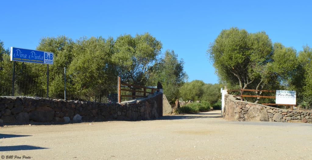 Agriturismo Pira Pinta Bed and Breakfast Dorgali Εξωτερικό φωτογραφία